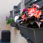 23 * ザントフォールト