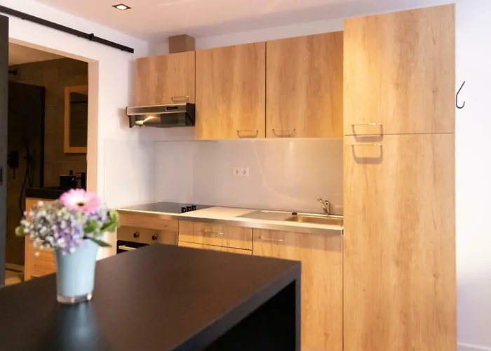 Tatil Evi 23 Zandvoort